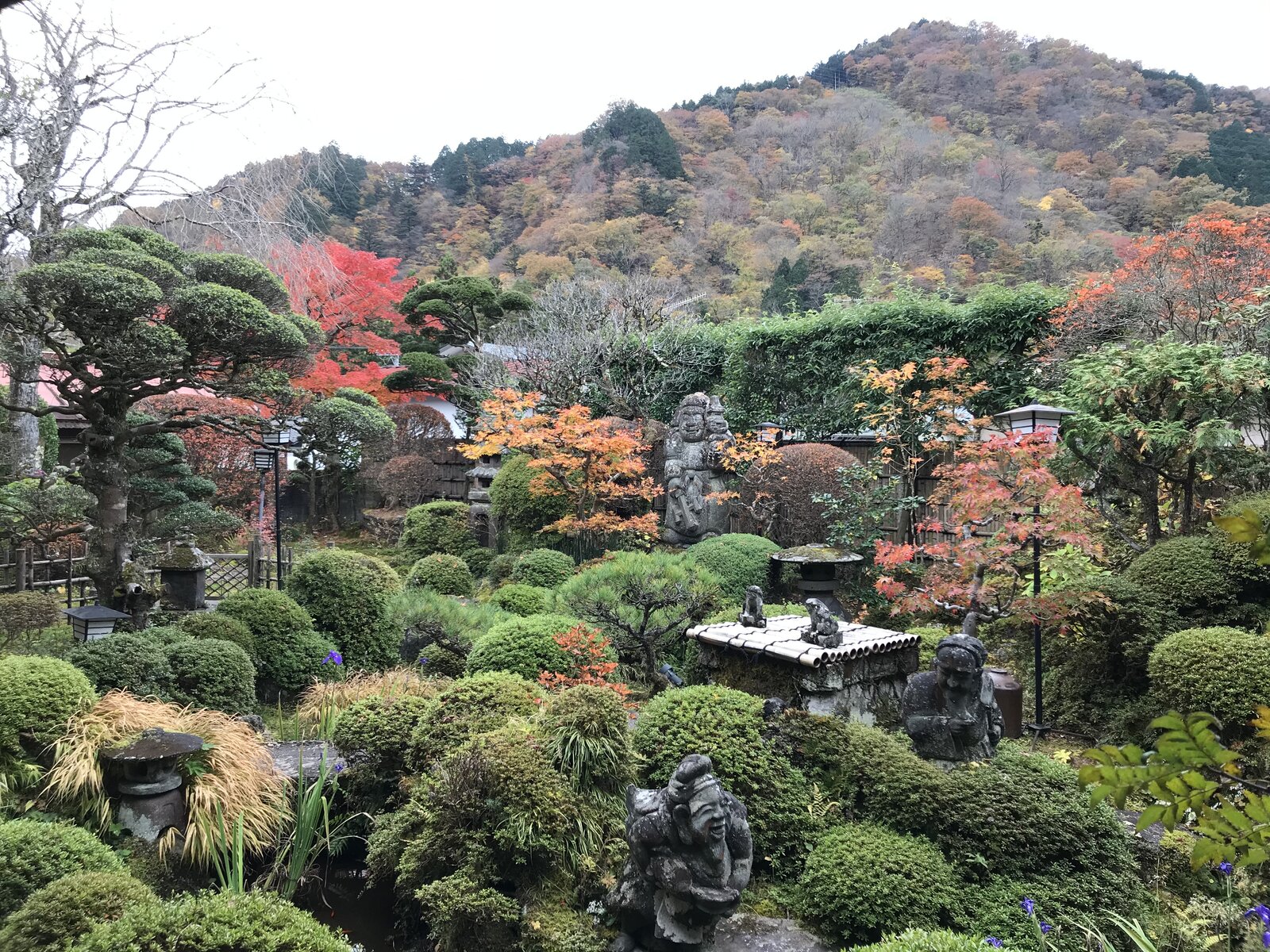 秋の庭園