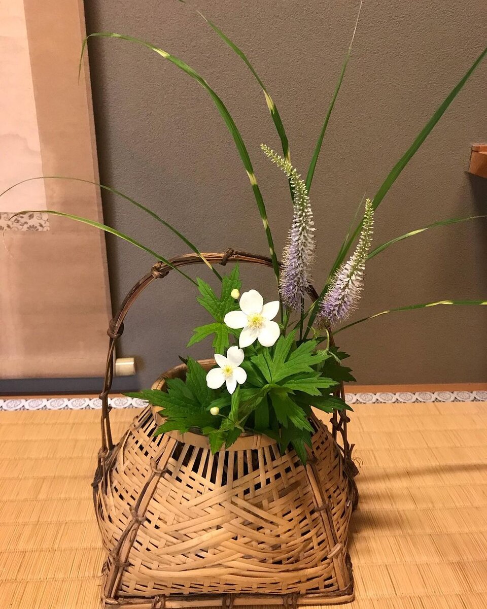 2024年 7月の営業について