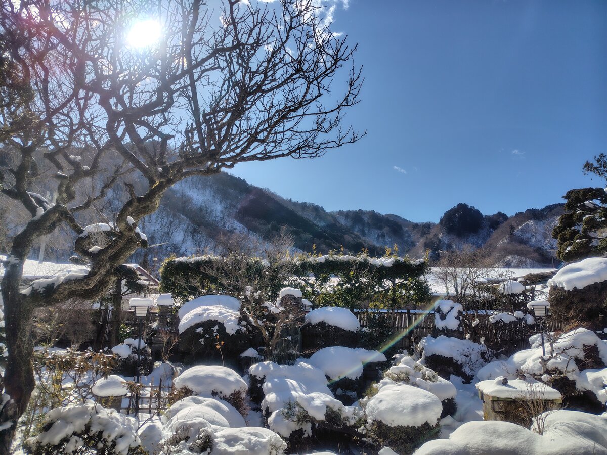 2026年 2月の営業について