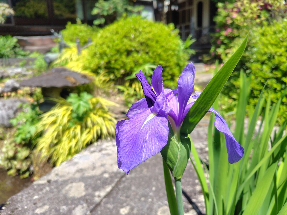 2026年 5月の営業について